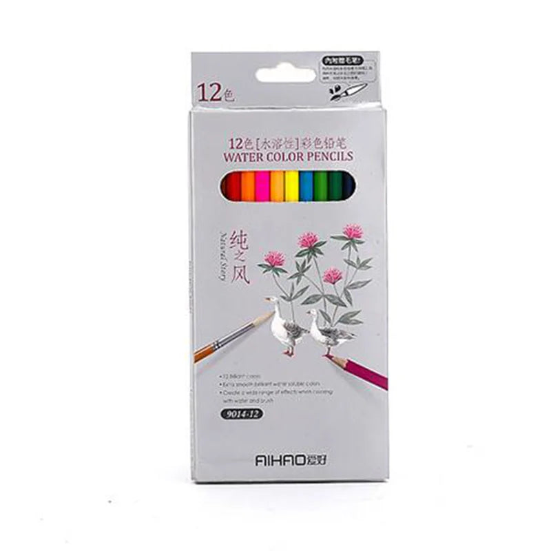 Colored Pencil Set