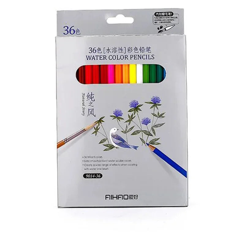 Colored Pencil Set