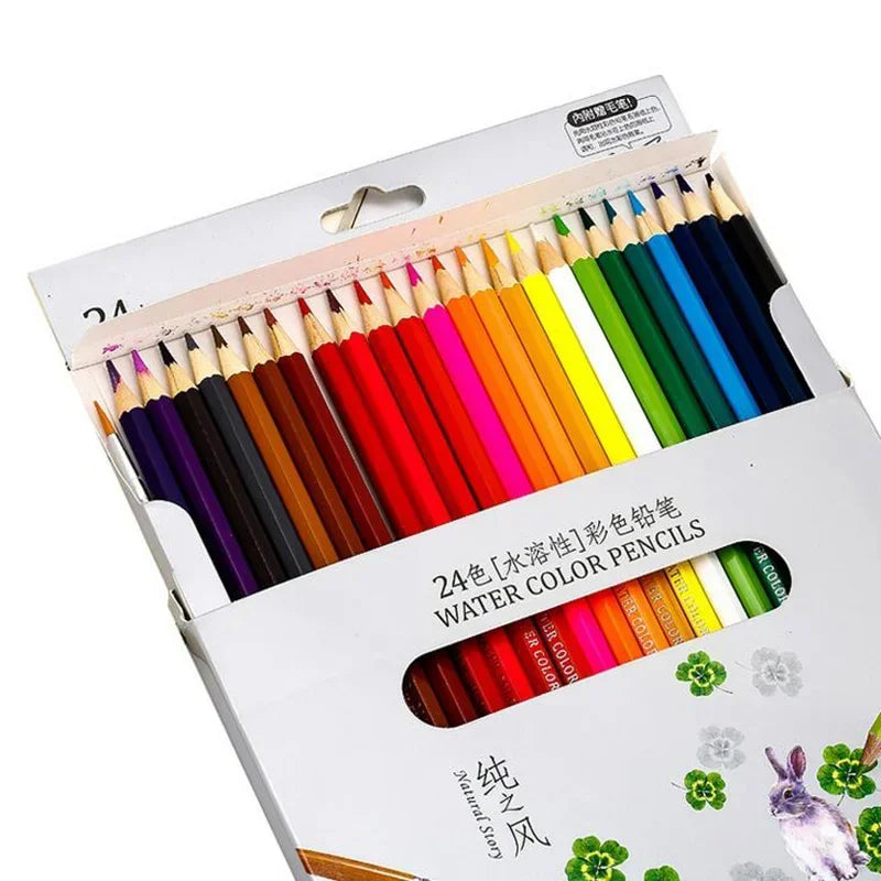 Colored Pencil Set